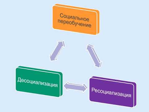 Десоциализация. Десоциализация и ресоциализация. Социализация десоциализация ресоциализация. Политическая ресоциализация это. В чем суть социализации десоциализации и ресоциализации.