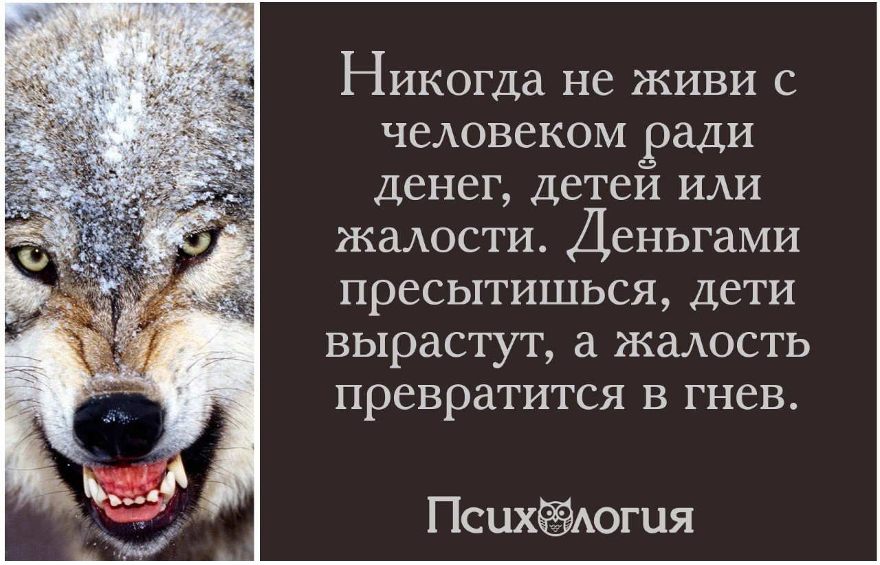 Никогда жить. Никогда не живи с человеком. Никогда не живи с человеком ради. Никогда не живи с человеком ради детей. Никогда не живи с человеком ради денег.