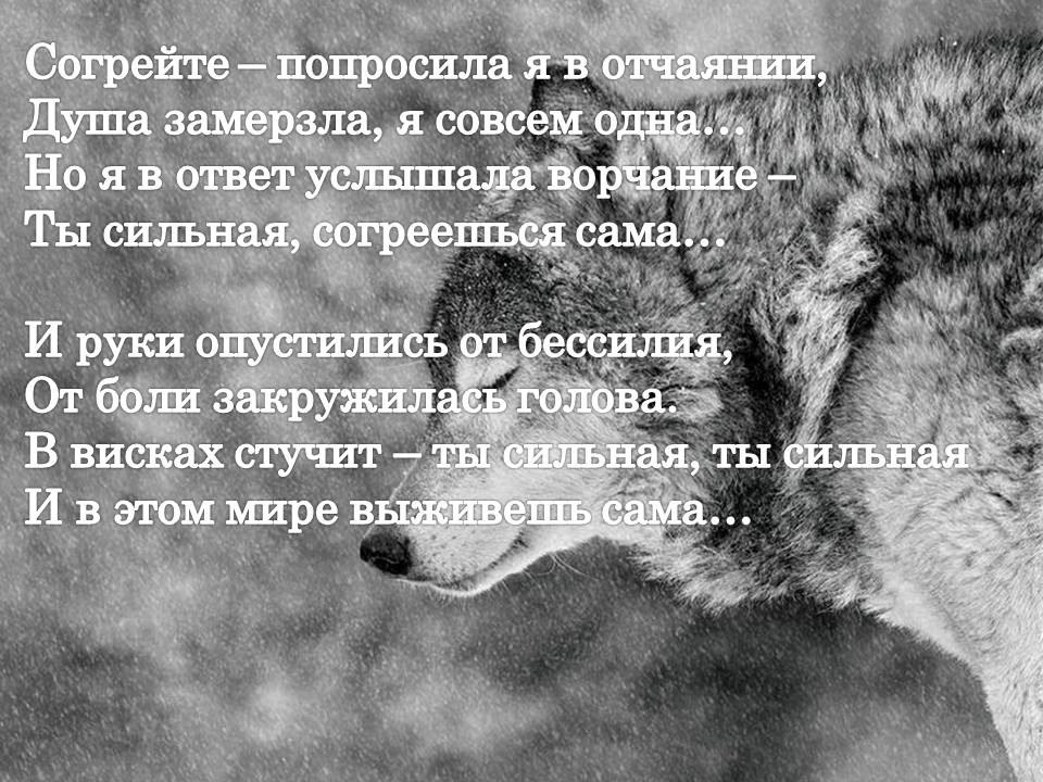 Совсем не больно. Отчаяние стихи. Безысходность стихи. Афоризмы про отчаяние. Стихотворение не отчаиваться.