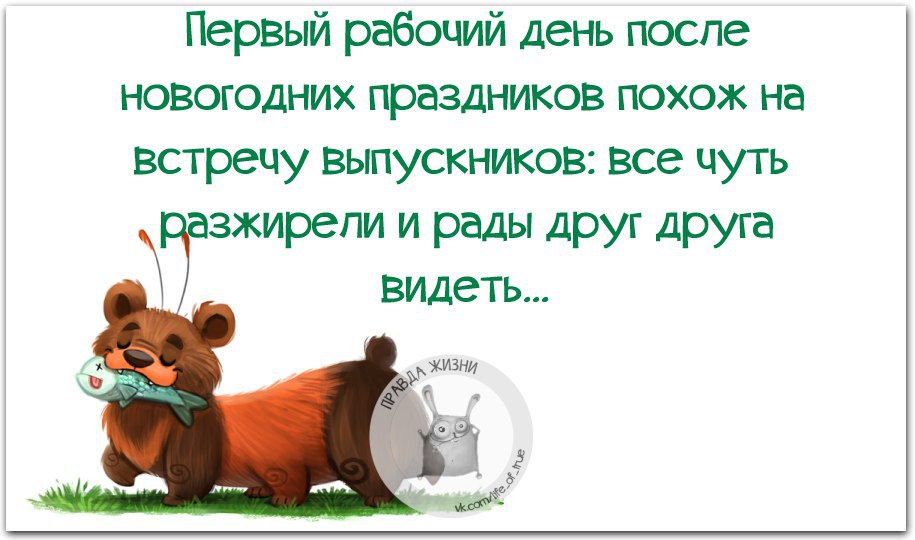 Когда все выходят на работу в январе. Открытка с первым рабочим днем после праздников. С первым рабочим днем. Поздравление с первым рабочим днем нового года. Первый рабочий день в году.