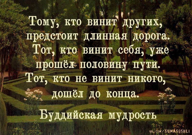 Осталась половина пути. Цитаты во всем винит других людей. Человек который винит во всем других. Цитаты когда люди винят других. В своих неудачах винят других.