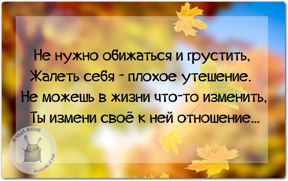 Жалеть себя не обязательно а вот беречь необходимо картинка с надписью