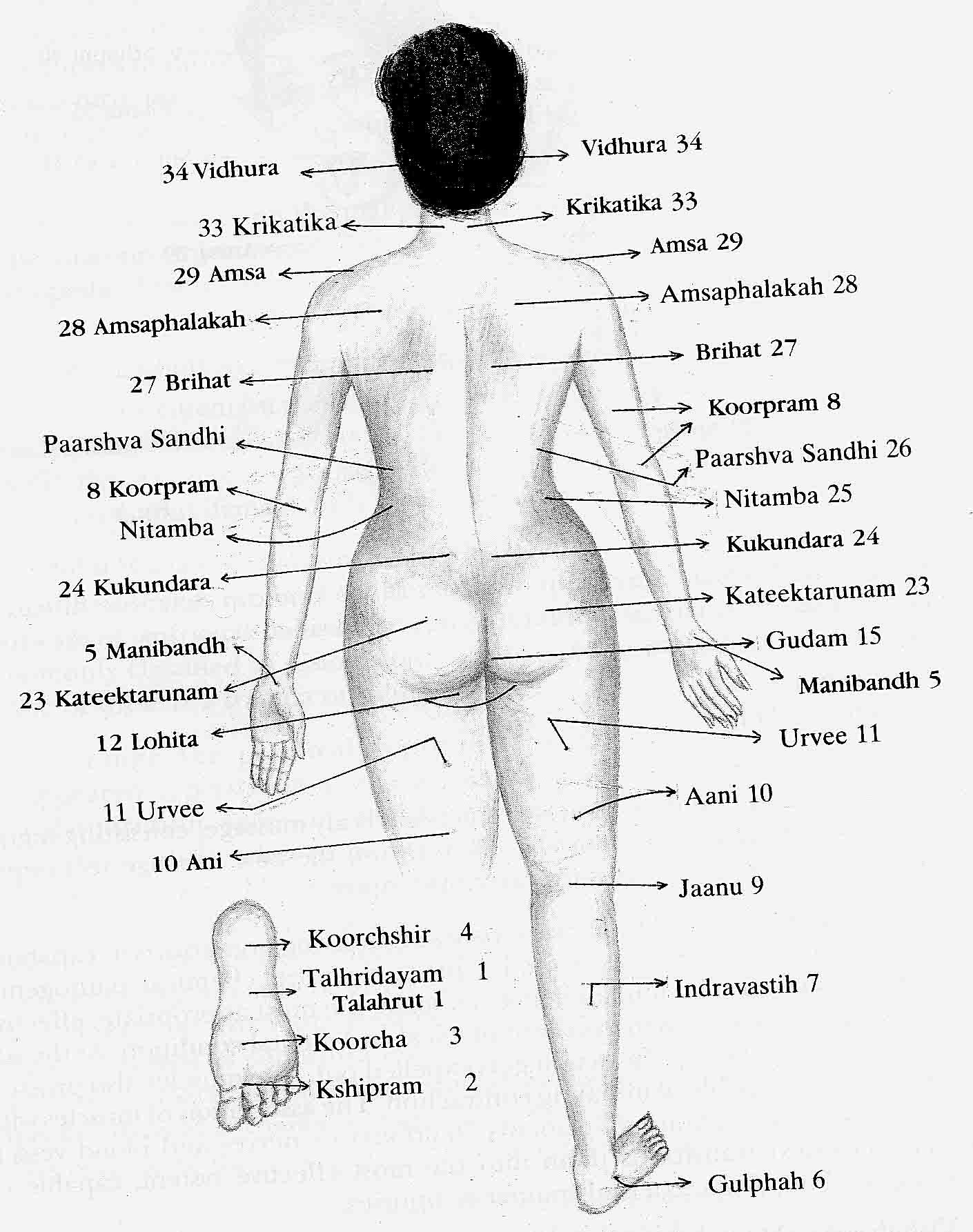 Где находится женщина. Болевые точки человека схема. Точки тела человека для возбуждения. Где находится болевые точки на теле человека. Нервные точки на теле человека схема.