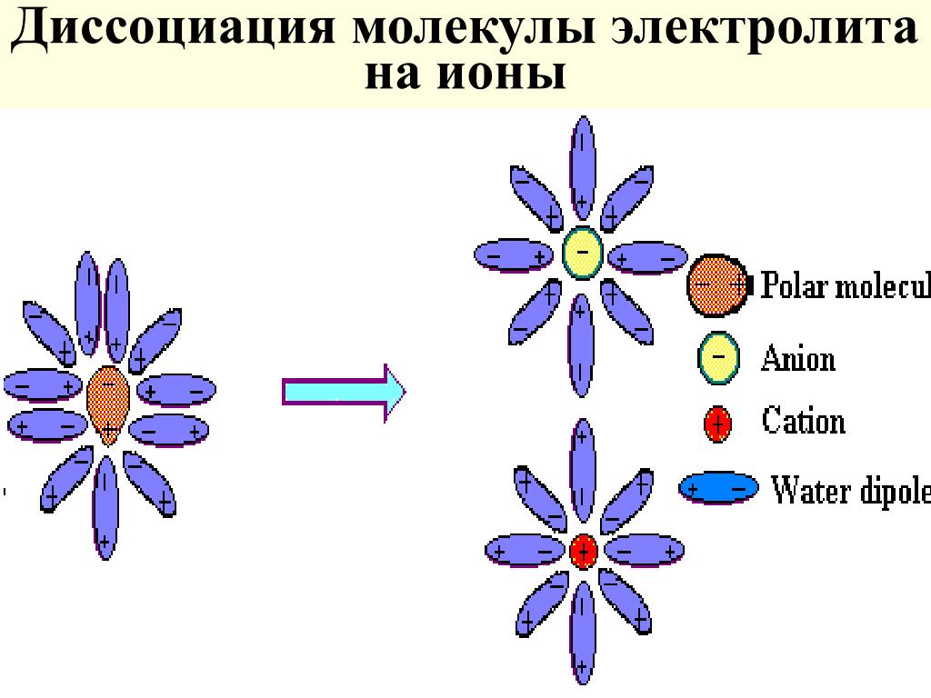 Диссоциация молекул. Диссоциация электролитов. Молекулярная диссоциация. Электролитическая диссоциация молекул..