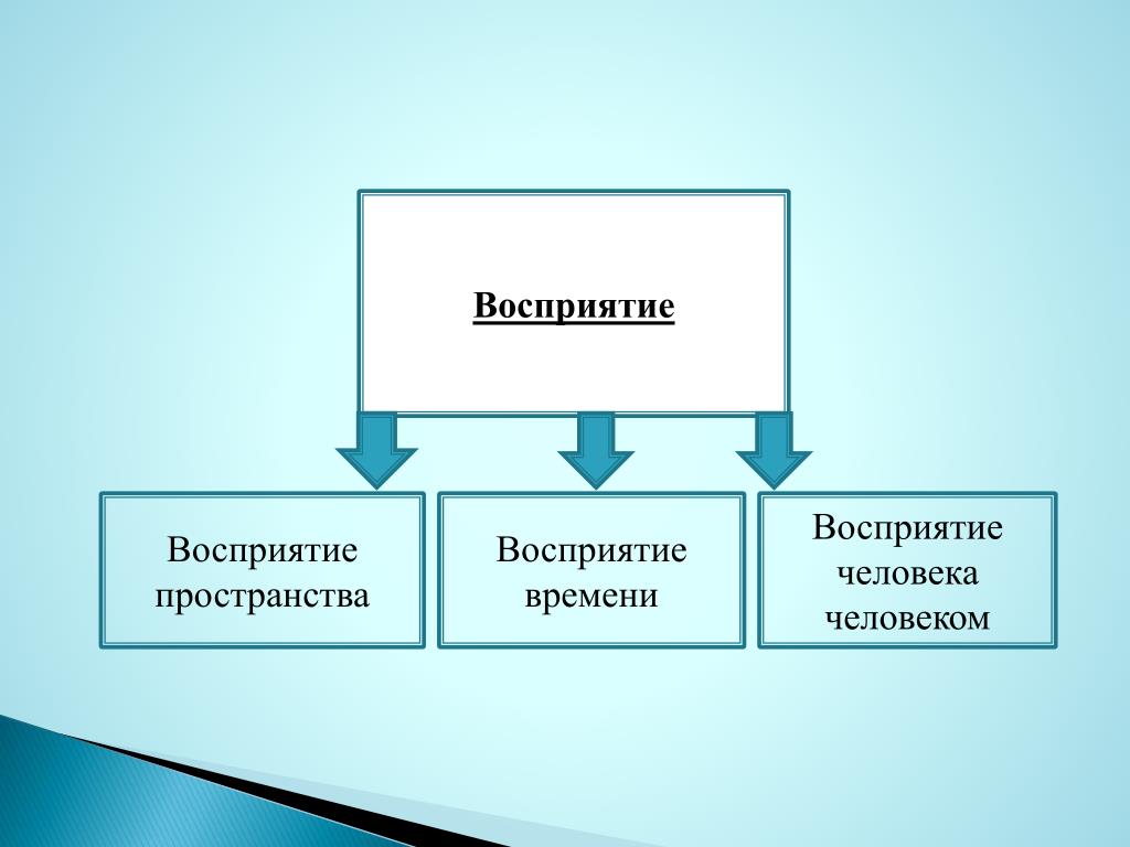 5 восприятий