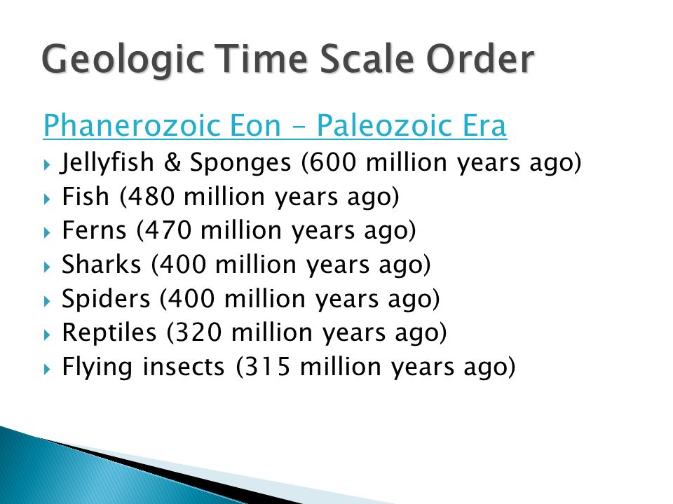 Phanerozoic Eon – Paleozoic Era  Jellyfish & Sponges (600 million years ago)  Fish (480 million years ago)  Ferns (470 million years ago)  Sharks (400 million years ago)  Spiders (400 million years ago)  Reptiles (320 million years ago)  Flying insects (315 million years ago) Geologic Time Scale Order