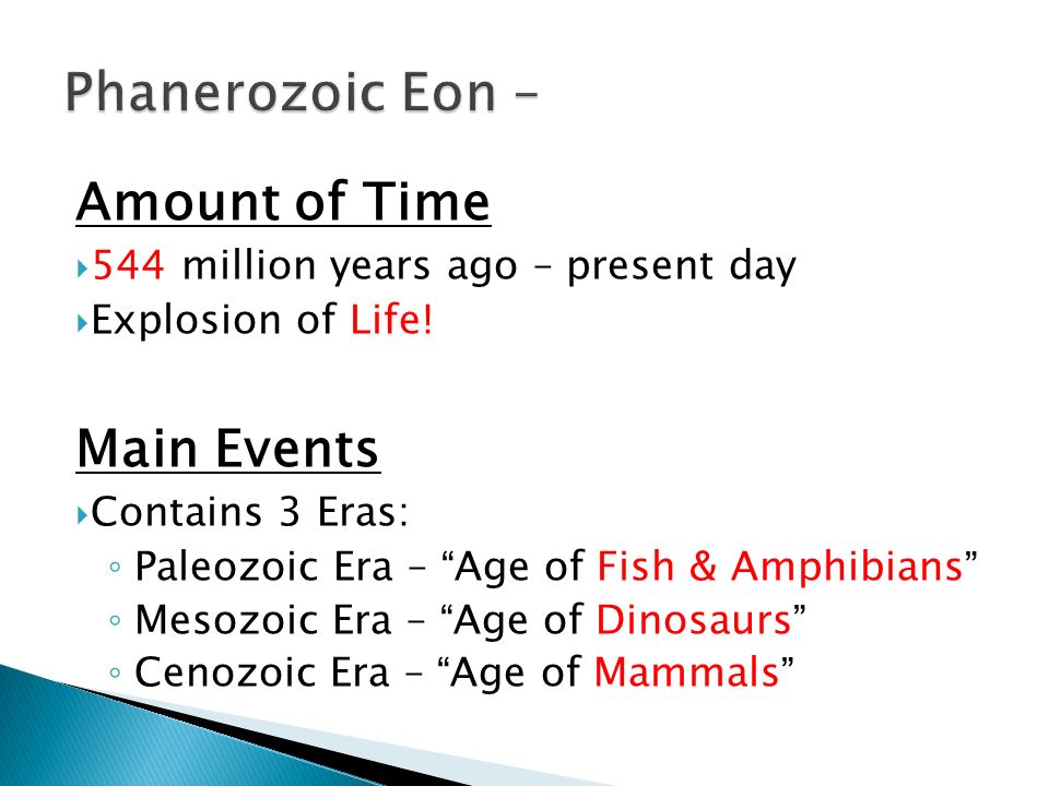 Amount of Time  544 million years ago – present day  Explosion of Life.
