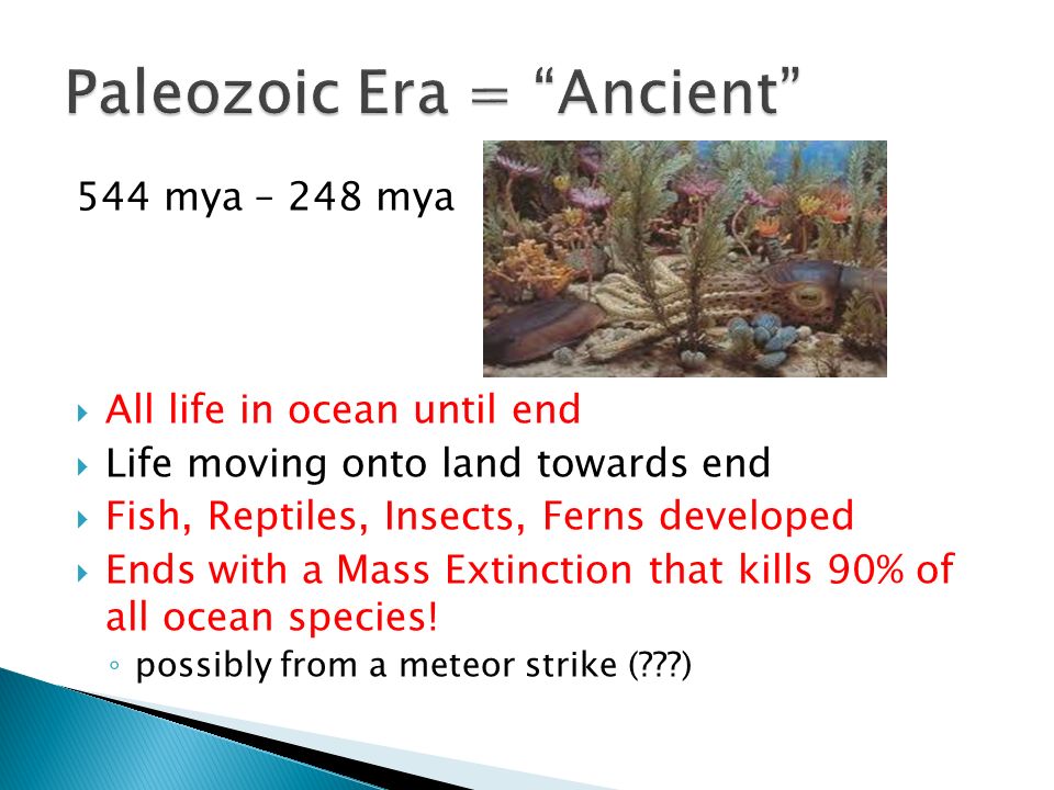 544 mya – 248 mya  All life in ocean until end  Life moving onto land towards end  Fish, Reptiles, Insects, Ferns developed  Ends with a Mass Extinction that kills 90% of all ocean species.