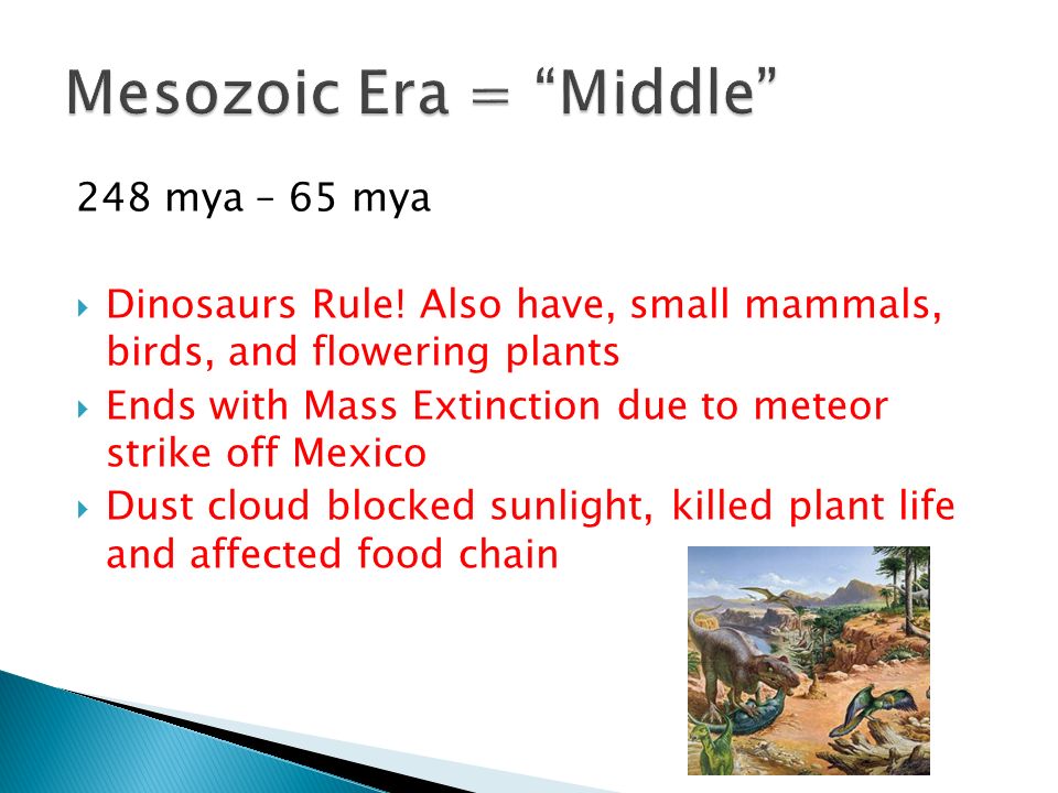 248 mya – 65 mya  Dinosaurs Rule.