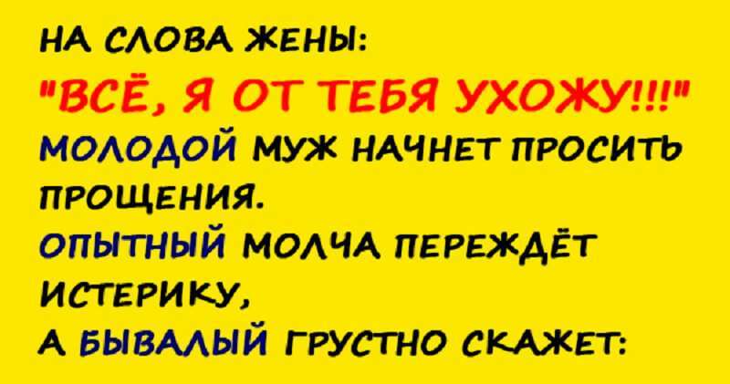 Почему ушла жена. От хороших мужей не уходят. Жена мужу я от тебя ухожу муж в панике. От нормальных жен мужья не уходят. Ушла жена прикол.