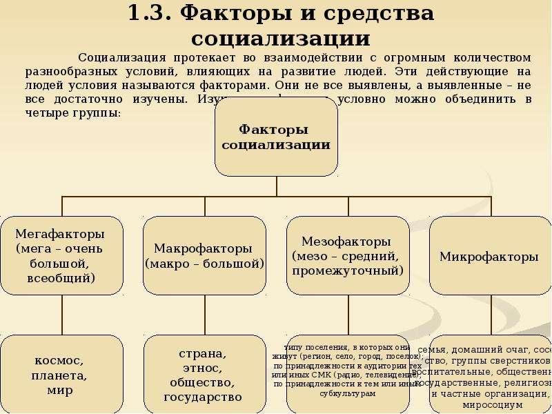 Общественные факторы социализации