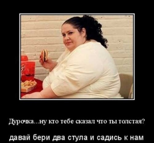 Истории про толстых