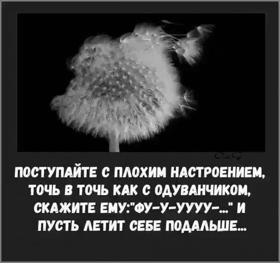 Умные слова когда нет настроения. Цитаты про плохое настроение. Фразы про плохое настроение. Высказывания о плохом настроении. Цитаты про одуванчики.