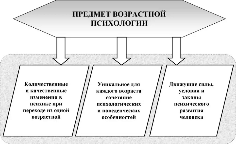 Возрастная общая психология. Возрастная психология схема. Структура возрастной психологии схема. Предмет возрастной психологии схема. Составляющие предмета возрастной психологии.