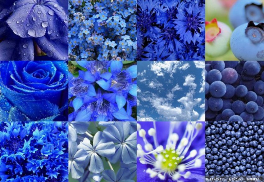 Синий Цвет Состоит Из Цветов