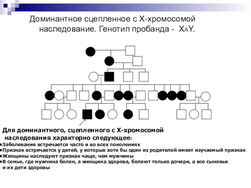 Род полом. Х сцепленный доминантный Тип наследования генеалогический метод. Родословная с х-сцепленным доминантным типом наследования. Родословная х сцепленный доминантный. Родословная генетика пробанд.