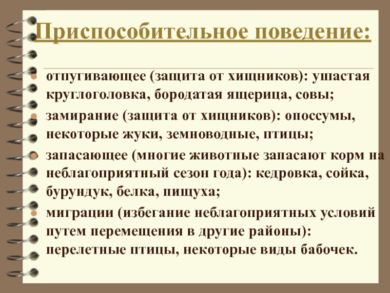 Приспособление поведение. Приспособительное поведение. Приспособительное поведение примеры. Приспособительное поведение животных. Приспособительные особенности поведения.