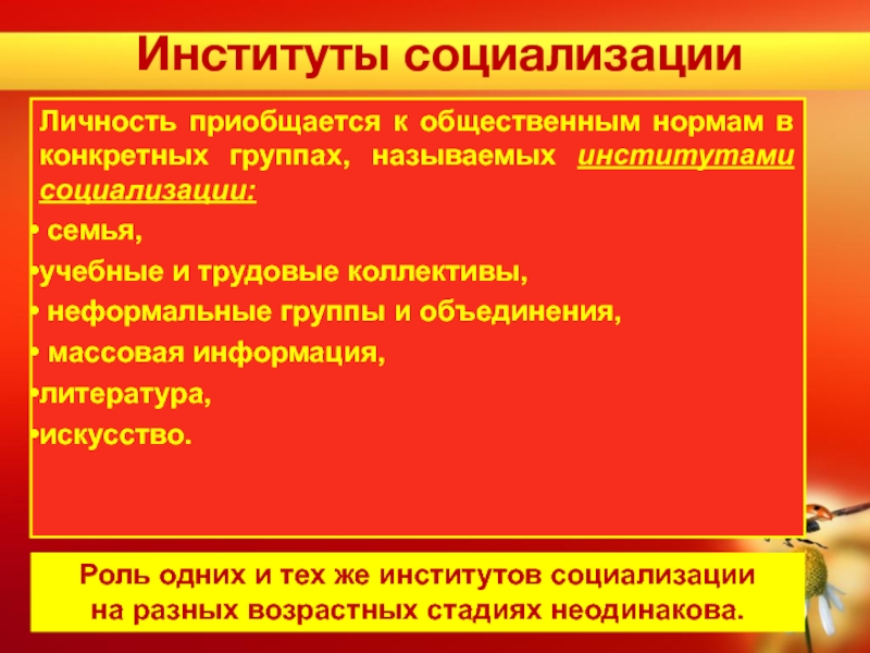 Институты социализации личности. Институты социализации. Функции институтов социализации. Институты формирования личности.