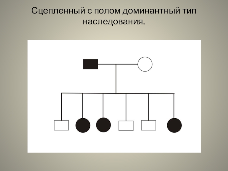 С полом типу. Х-сцепленное доминантный Тип наследования схема. Сцепленное с полом доминантное наследование. Сцепленный с полом доминантный Тип наследования. Сцепленый спол доминатный Тип наследования наследуется.