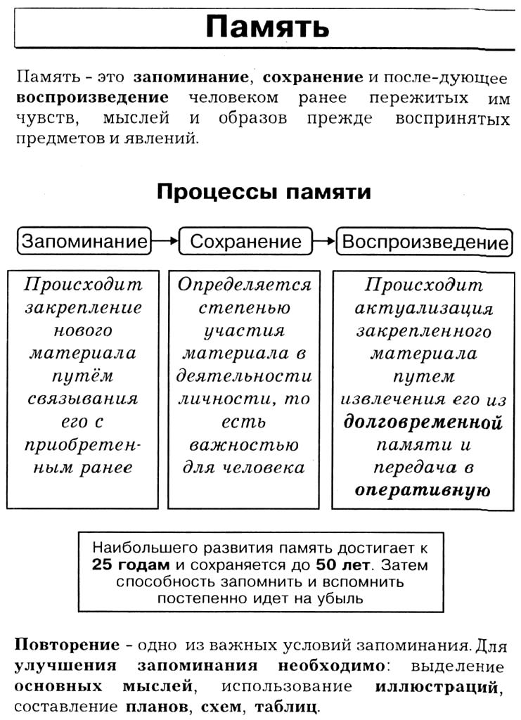 Проблема регулирования памяти. Процессы памяти в психологии. Краткая характеристика процесса памяти. Характеристика процессов памяти в психологии. Процессы памяти схема.