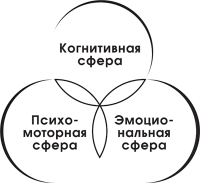 Когнитивная сфера. Когнитивная сфера личности. Когнитивная сфера ребенка. Когнитивная сфера это в психологии.