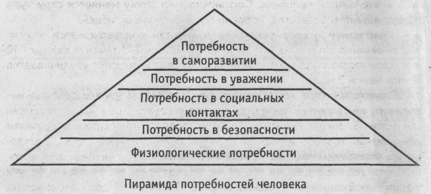 15 потребности. Физиологические потребности. Потребности в соморазвитие. Физиологические потребности безопасность. Потребность в самосовершенствовании.