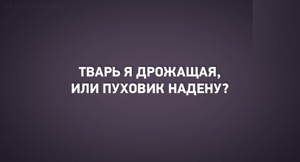 Тварь ли я дрожащая или. Тварь я дрожащая или пуховик надену. Тварь я дрожащая или сбегать за хлебом. Тварь я дрожащая или отопление. Картинка тварь я дрожащая или пуховик надену.