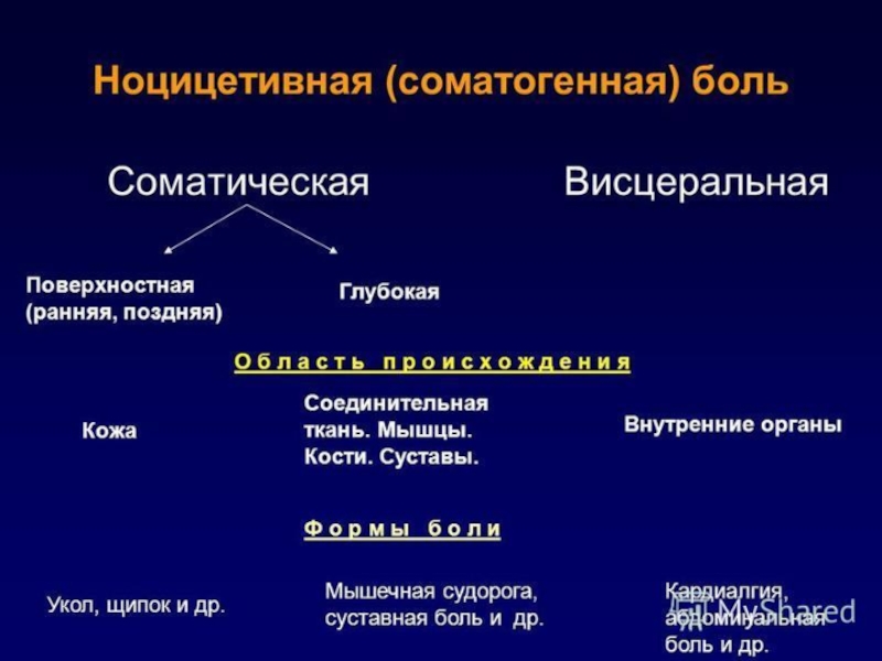 Глубокая боль. Ноцицептивная соматическая боль. Соматическая и висцеральная боль. Медиаторы соматической и висцеральной боли. Классификация болей. Медиаторы соматической и висцеральной боли..