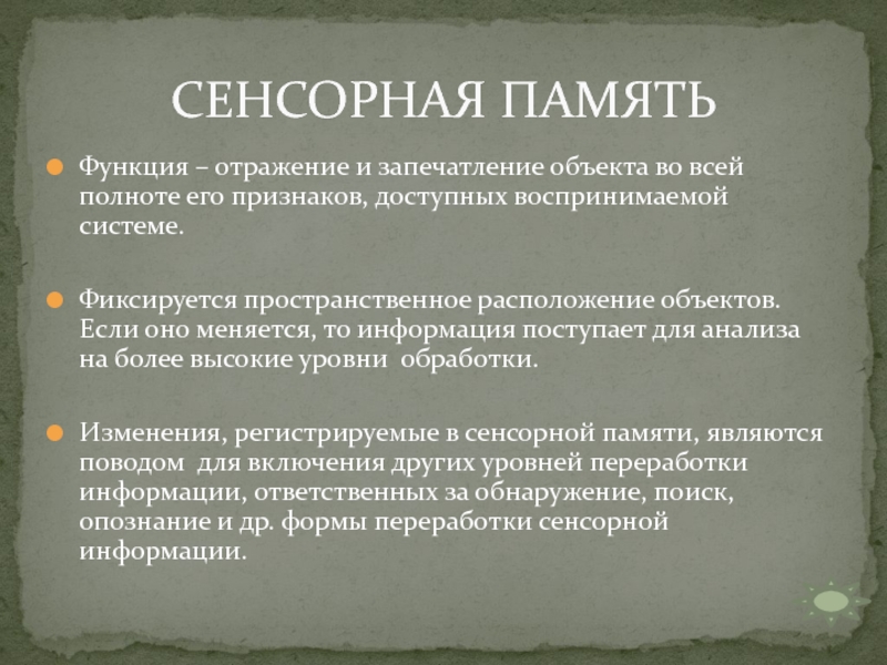 Сенсорная память. Виды сенсорной памяти. Сенсорная память в психологии. Сенсорная память примеры. Подвиды сенсорной памяти.