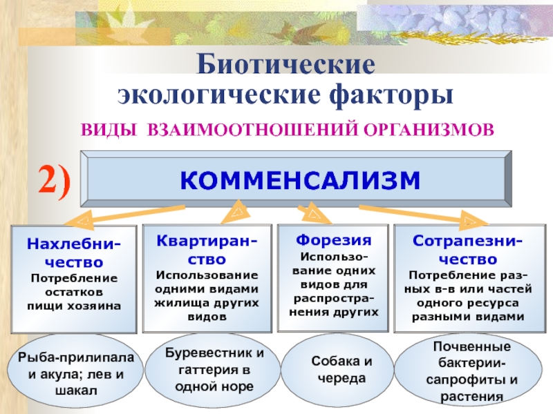 Биотические факторы примеры таблица. Примеры биотических фактов. Биотические факторы схема.