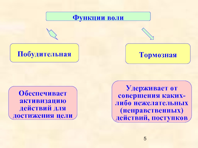 Основа воли