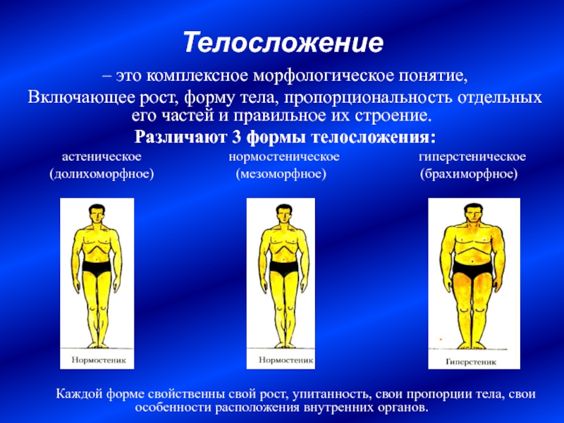 3 форма тела. Телосложение — долихоморфное (Астеническое). Типы телосложения нормостеническое Астеническое гиперстеническое. Особенности телосложения человека. Нормостенический Тип телосложения.