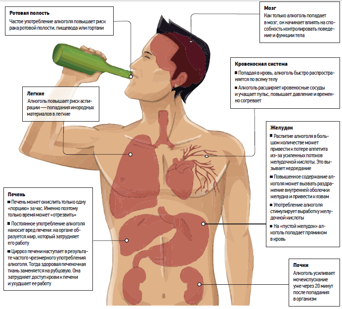 После попадания в организм. Влияние на дыхательную систему алкоголизма.